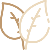 massage therapy icon 09